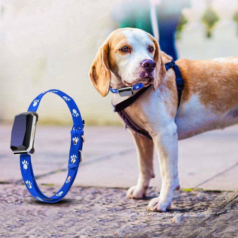 Tech for Pets: Keep Your Furry Friends Healthy