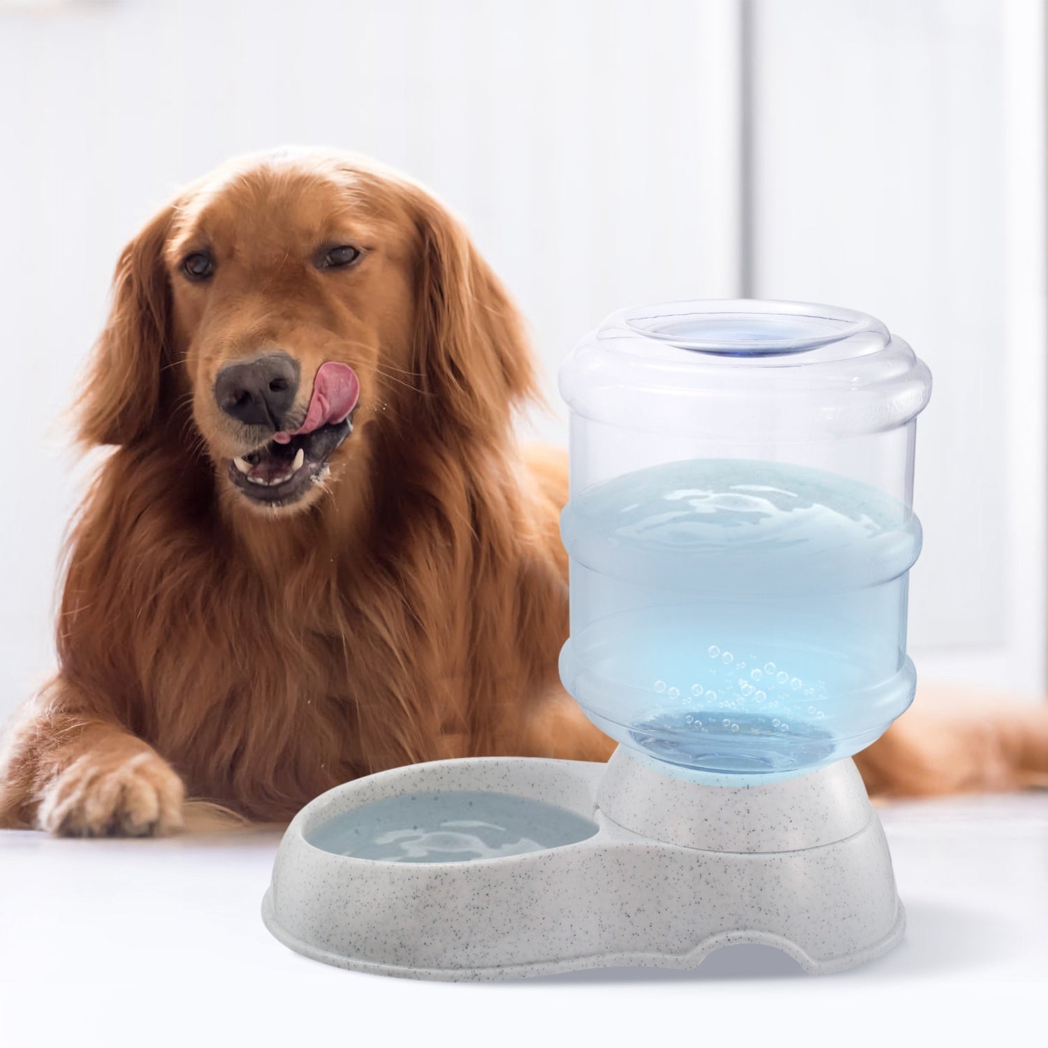 3.5L 1Gal Pet Water Automatic Dispenser